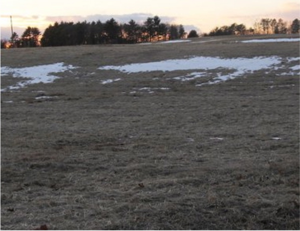 Amherst Landfil