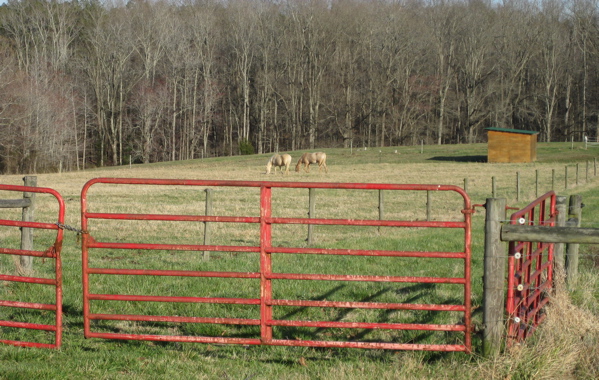 Camp Butner demo site